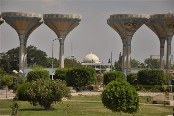 صورة موضوعية