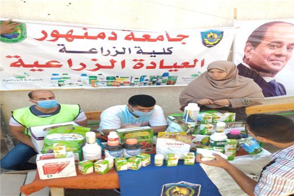 جامعة عين شمس 