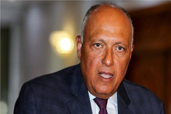 وزير الخارجية المصرى