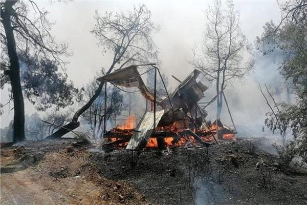 صورة أرشيفية