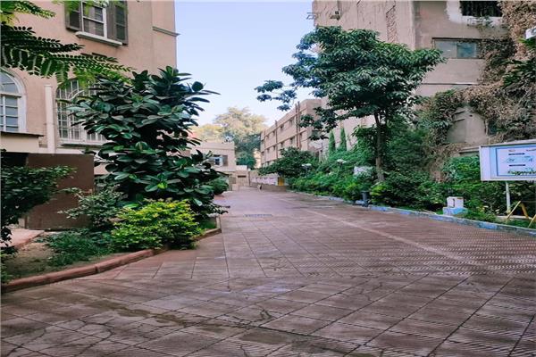 جامعة حلوان