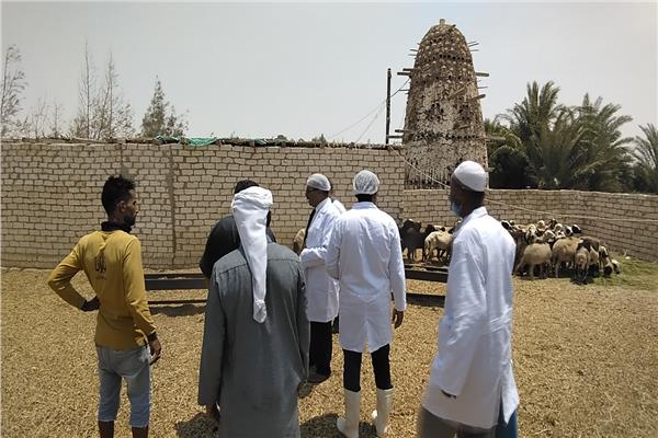ندوه تعريفية لمربي الثروة الحيوانية بمنطقة المغرة بمطروح