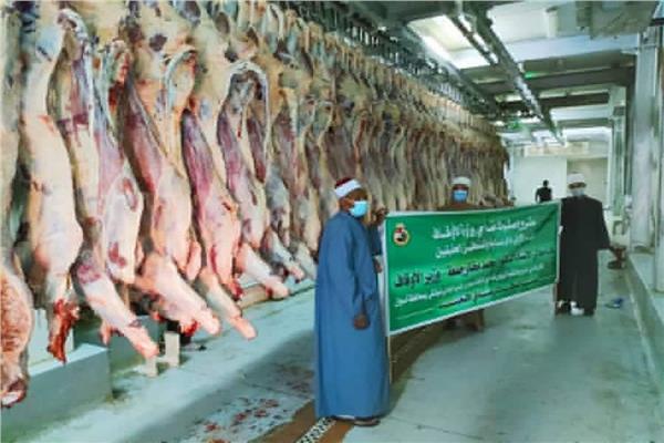 توزيع لحوم اضاحي الأوقاف