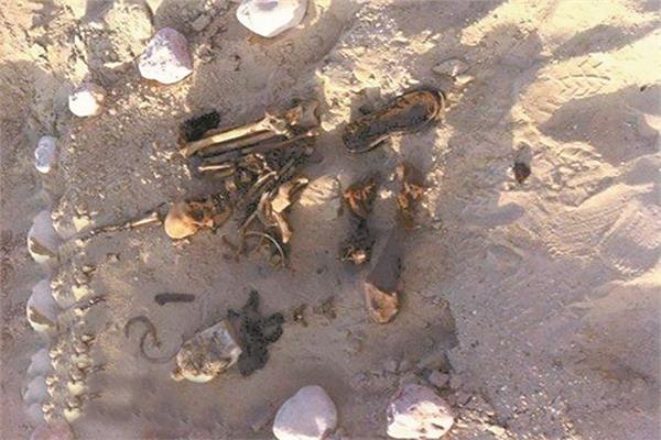 جثامين الشهداء بحفر قناة السويس الجديدة