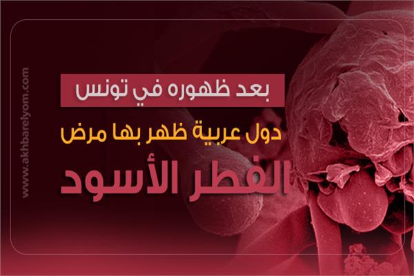الفطر الأسود