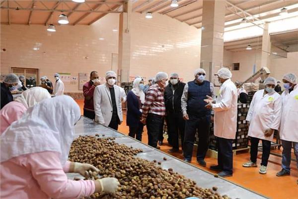  تخفيض إيجار باكيات مجمع التمور إلى 50 جنيهاً بالوادى الجديد