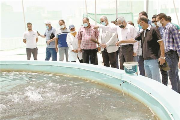مشروع تطوير المفرخ السمكى بالإسكندرية