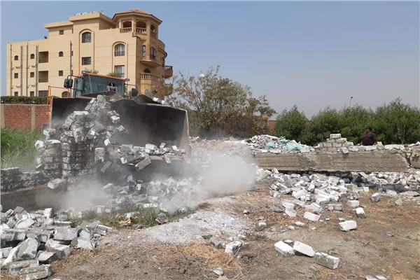 صورة موضوعية
