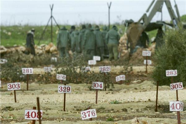 صورة تعبيرية