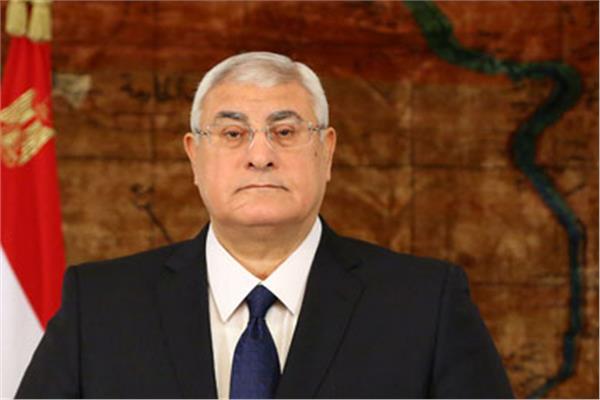 المستشار عدلي منصور