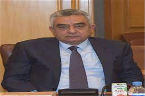 عمرو خضر