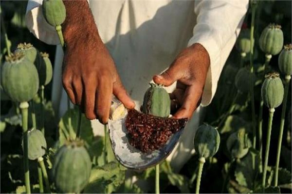 صورة تعبيرية