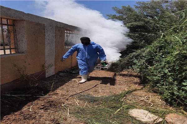 صحة المنيا تواصل حملاتها للتطهير والتعقيم ومكافحة ناقلات ومسببات الأمراض