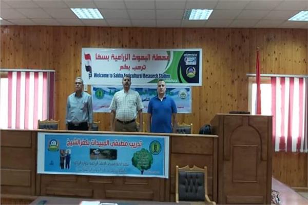 د مجدى السماحى