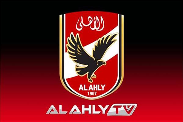 حسام حسن