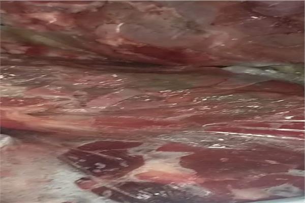صورة موضوعية