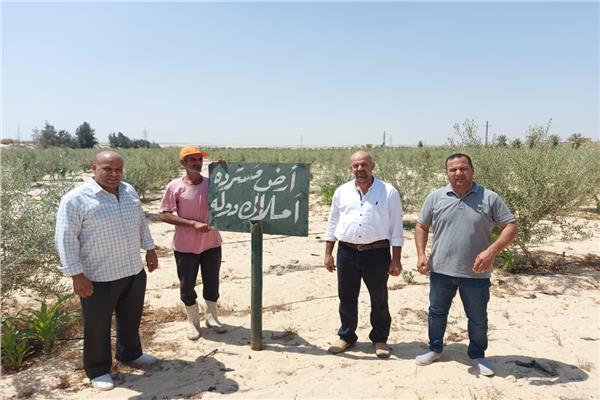 صورة موضوعية