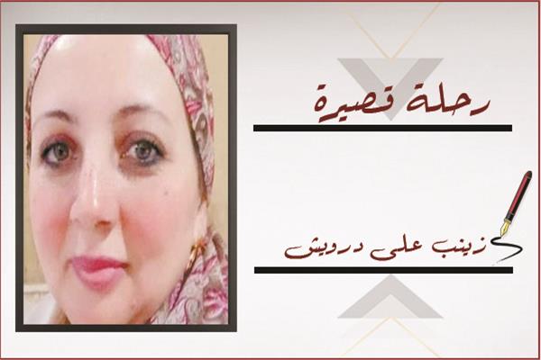 زينب على درويش