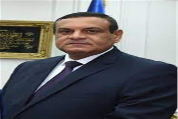 هشام آمنة محافظ البحيرة