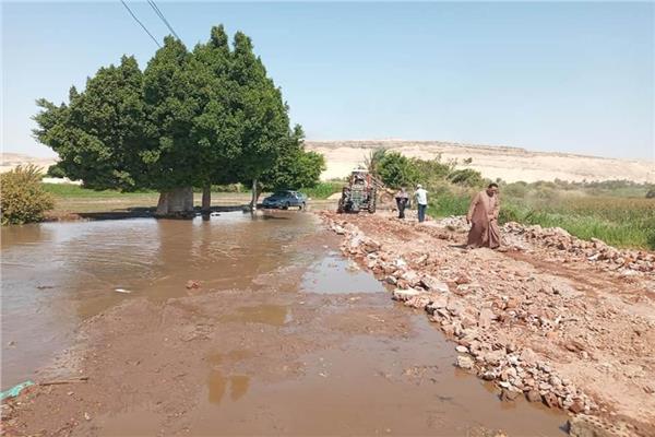 صورة موضوعية