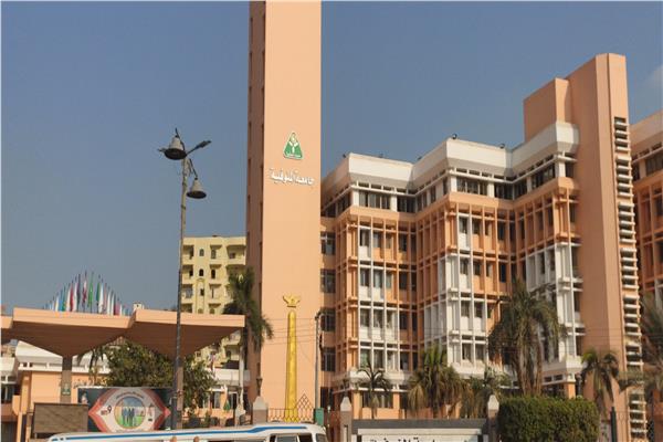 صورة موضوعية