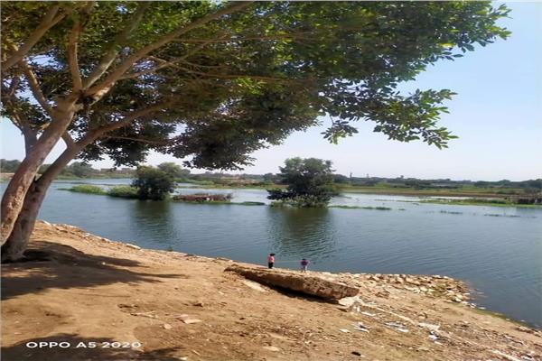 مدينة  منوف