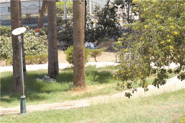 حديقة الأزبكية تدخل خطة التطوير