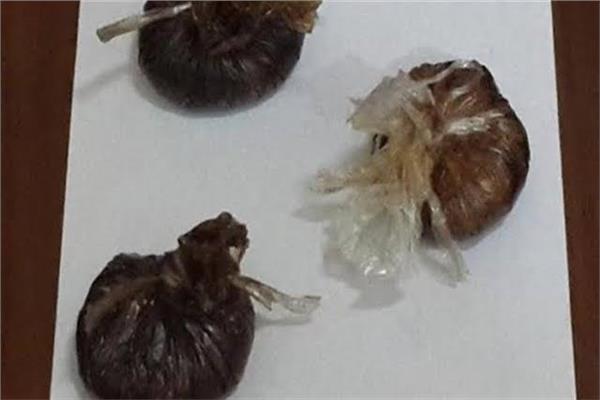 صورة موضوعية