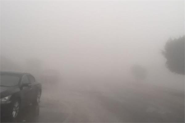 صورة موضوعية