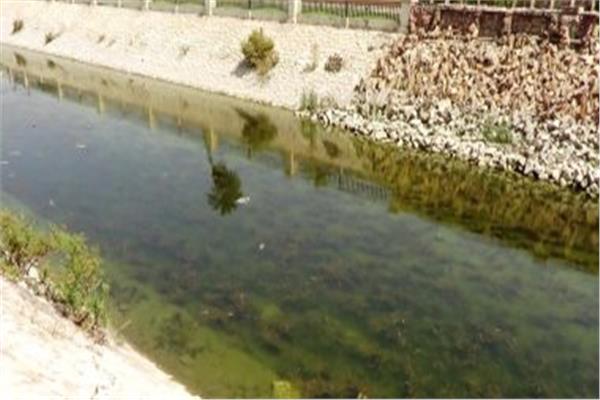 مياه ترعة الإسماعيلية