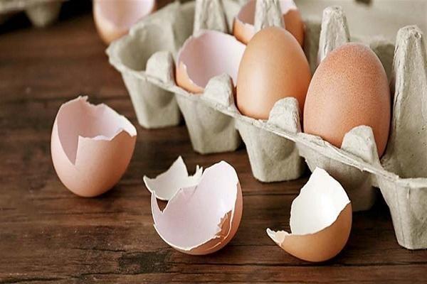 صورة موضوعية