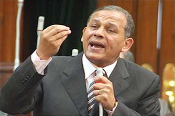 محمد أنور السادات، رئيس حزب الإصلاح والتنمية