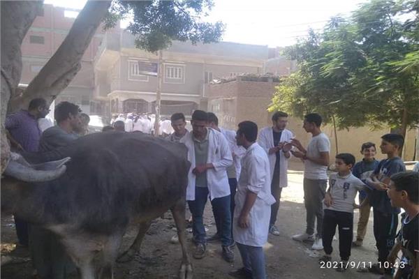 قافلة بيطرية للكشف والعلاج المجاني