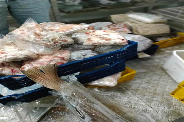 ضبط وإعدم لحوم فاسده ومصنعاتها مجهولة المصدر بجنوب الجيزة 
