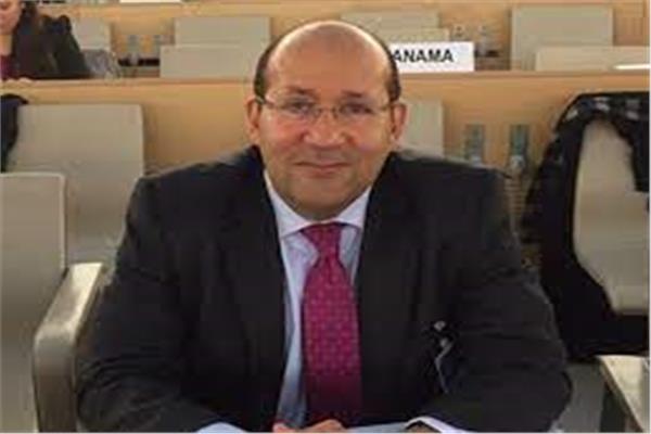 المهندس عادل عامر