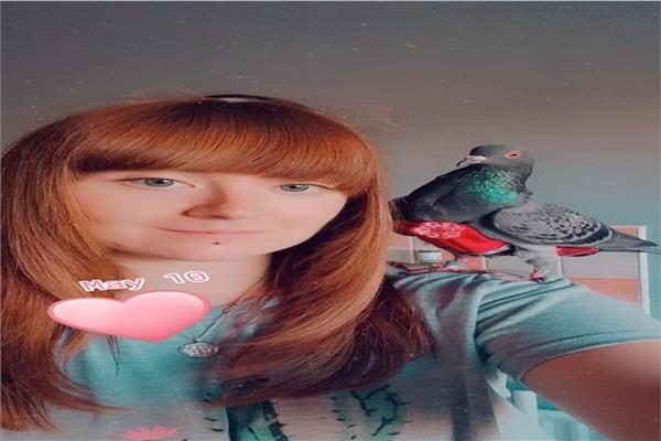 ​​​​​​​ بريطانية تنفق ٤٠٠٠ إسترليني لتدليل «حمامتين»