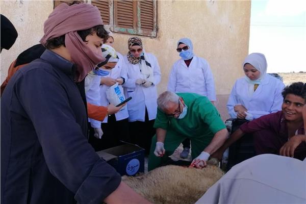 صورة موضوعية