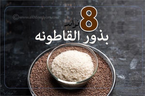 فوائد بذور القاطونة