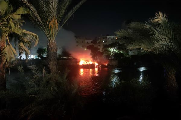 حريق في أشجار بالمنيل