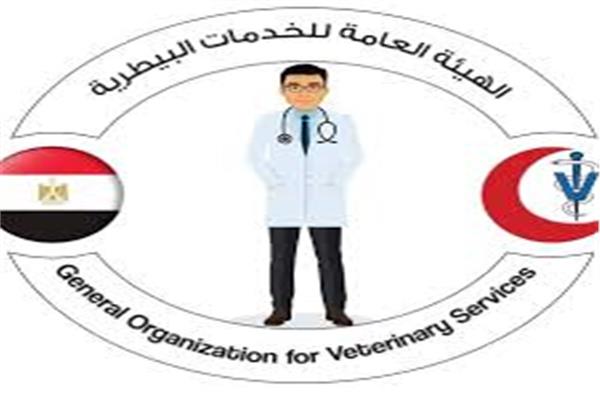 صوره ارشيفيه
