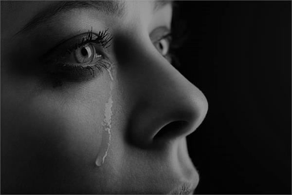  دموع التماسيح