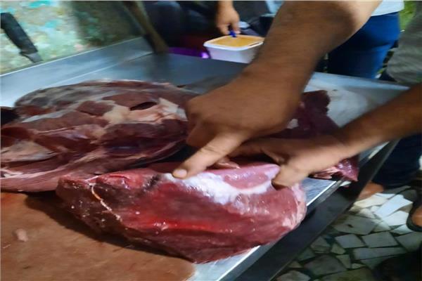 المضبوطات