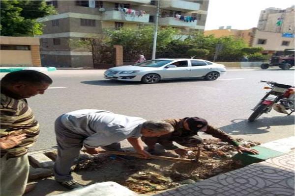 صورة موضوعية