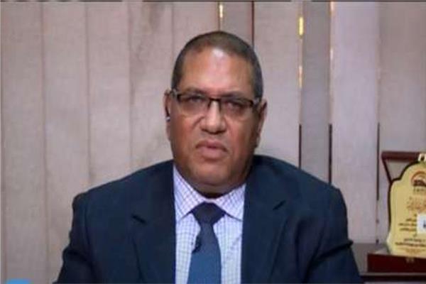 الدكتور محمد حسين، نائب رئيس هيئة السكك الحديدية