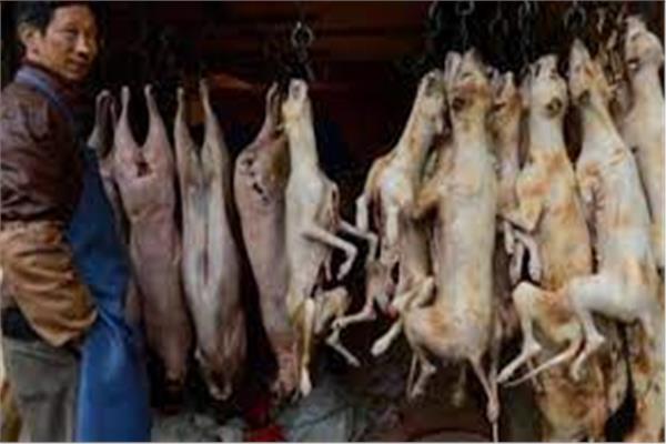 صورة من احدي اماكن بيع لحوم الكلاب