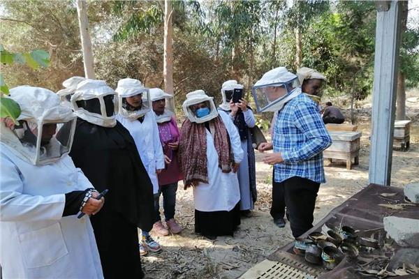 التدريب على استخلاص العسل، وفحص الخلايا...في برنامج مشاريع تربية النحل بجامعة القناة 