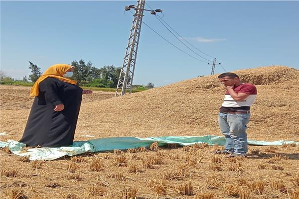 مواجهات نوبات تلوث الهواء الحادة 