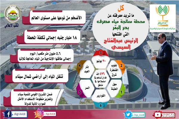 صورة موضوعية