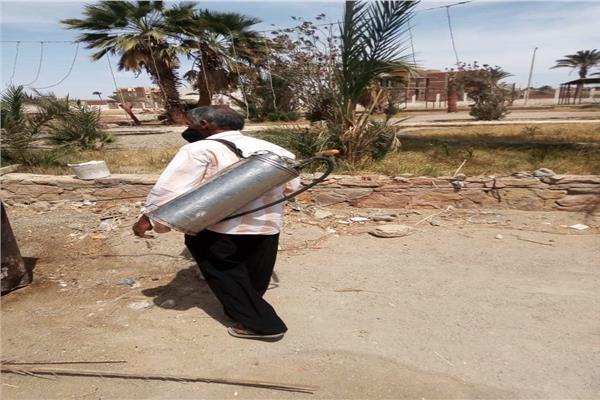 صورة موضوعية