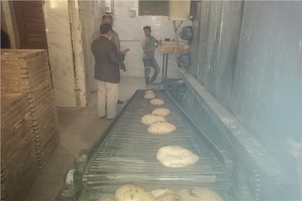 ضبط 60 طن ذرة صفراء وأعلاف بمصنع يدار بدون ترخيص